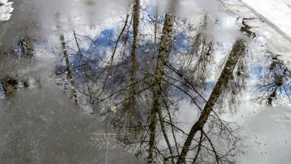 Отражение солнца в луже ранняя Весна