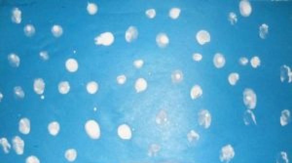 Рисование снегопад в средней группе