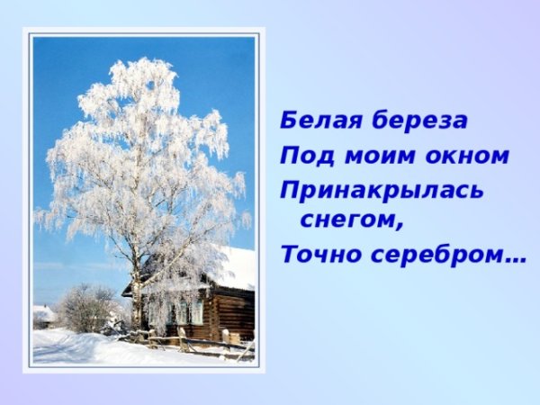 Береза Принакрылась снегом точно серебром