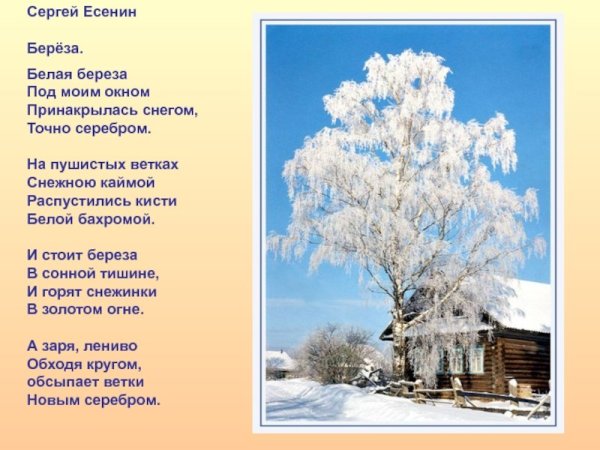Сергей Александрович Есенин белая береза