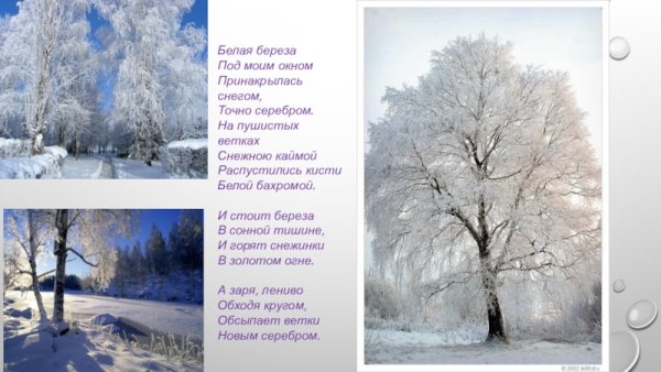 Белая береза Принакрылась снегом