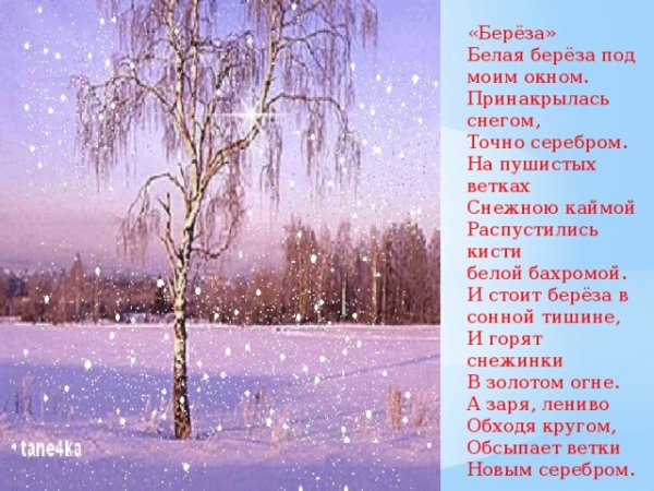 А Заря лениво обходя кругом обсыпает ветки новым серебром