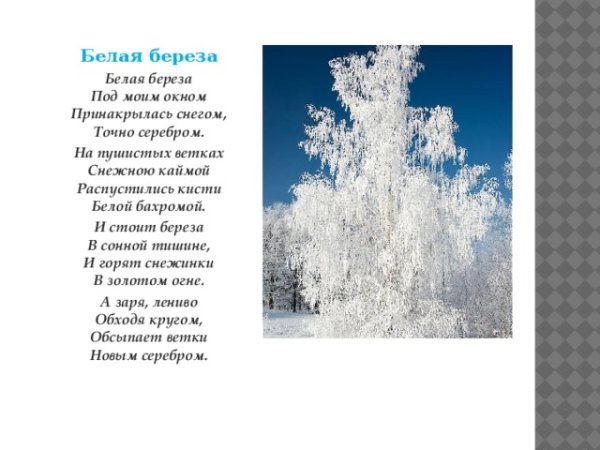 Александр Сергеевич Пушкин береза