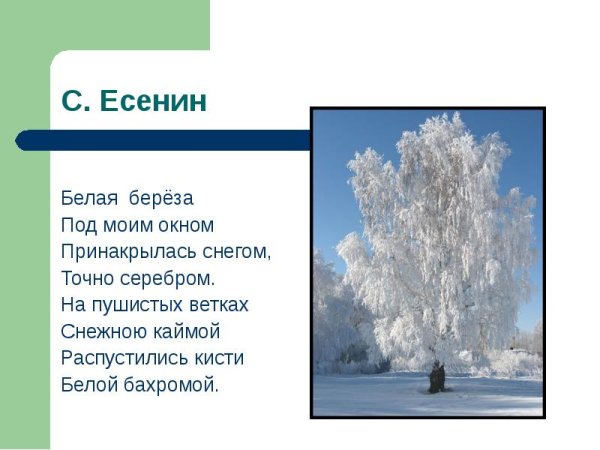 Сергей Есенин белая береза стих