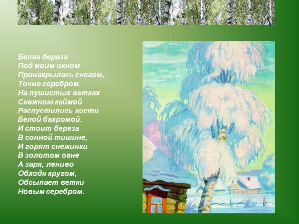 Белая берёза под моим окном