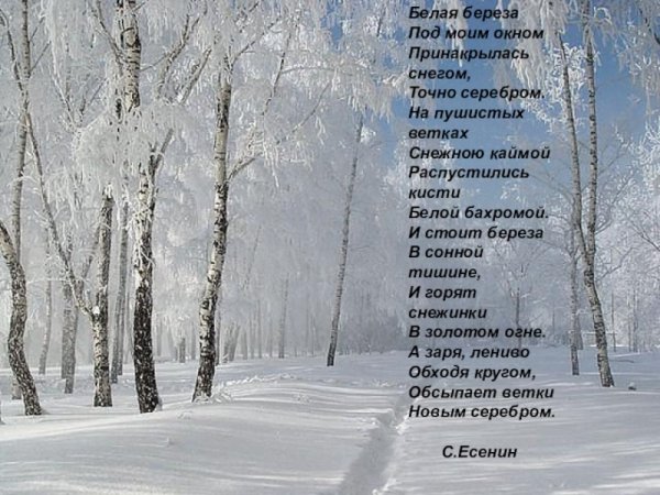 Белая берёза под моим окном Принакрылась