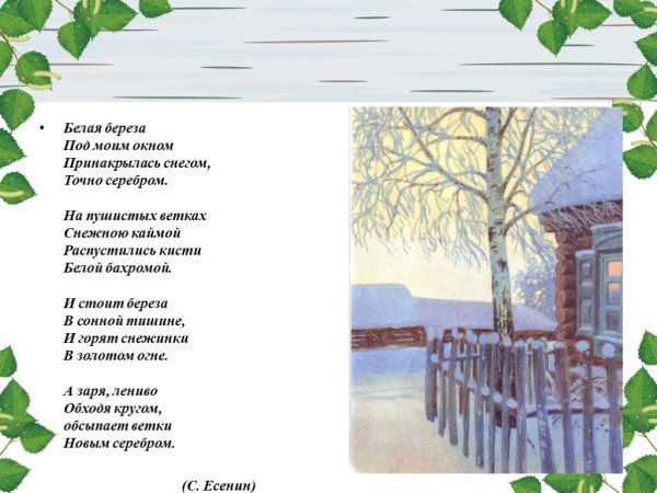 Стихотворение белая береза