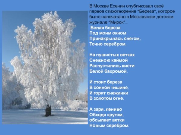 Первое опубликованное стихотворение Есенина береза