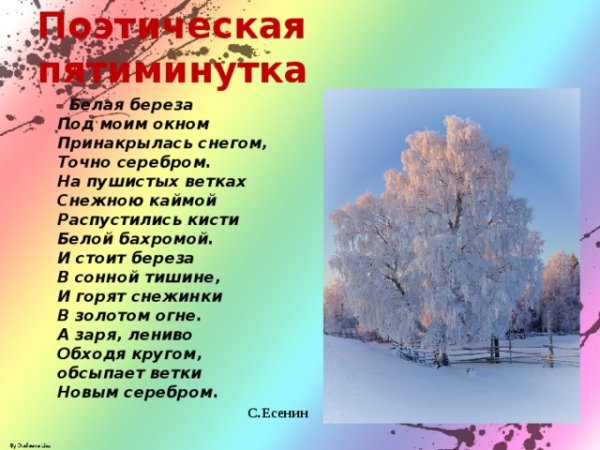 Белая берёза под моим окном Принакрылась