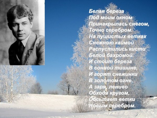 Евгений Есенин берёза