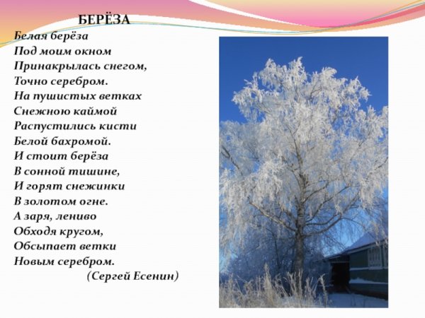 Есенин стихи о природе и родине