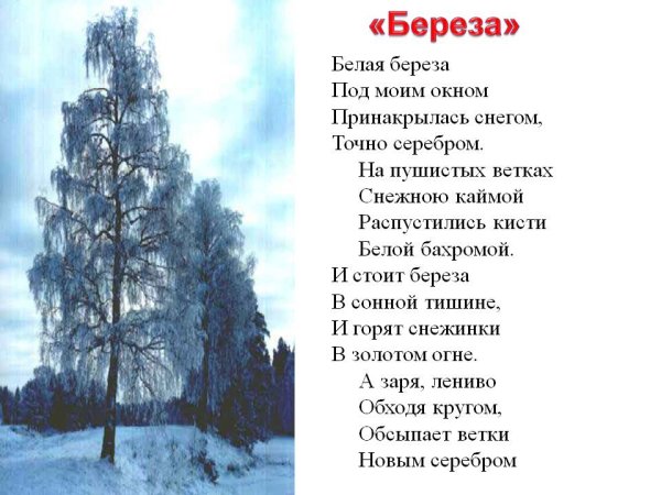 Сергей Есенин береза стихотворение