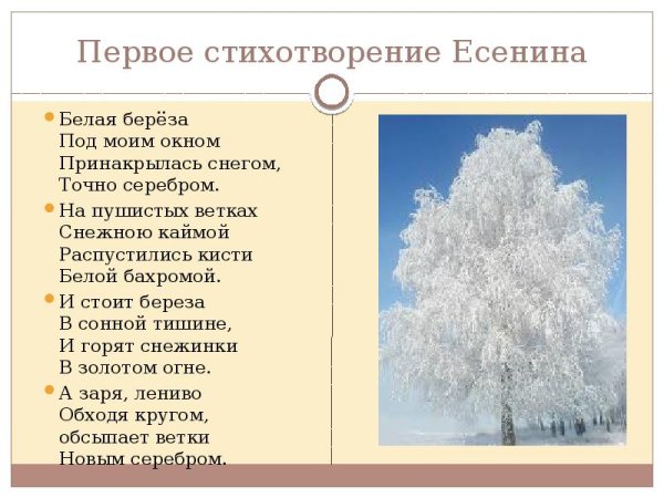 Стихотворение Сергея Есенина береза