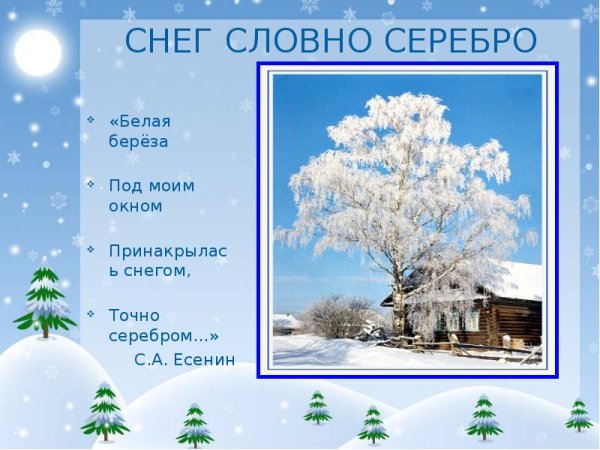 Белая береза под моим окном Принакрылась снегом словно серебром