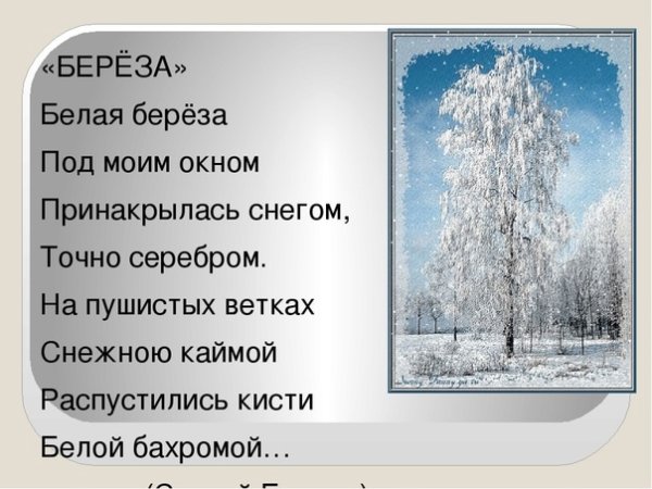 Фет белая береза