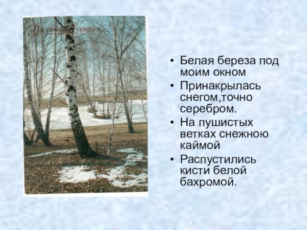 Лермонтов белая береза