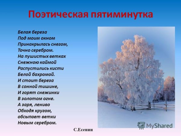 Белая берёза под моим окном Принакрылась