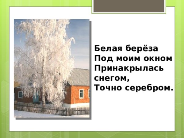 Белая берёза под моим окном Принакрылась снегом точно серебром