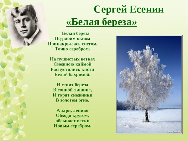 Сергей Александрович Есенин береза