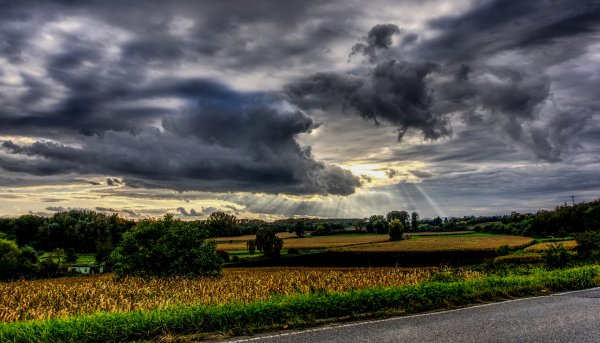 Пасмурный пейзаж