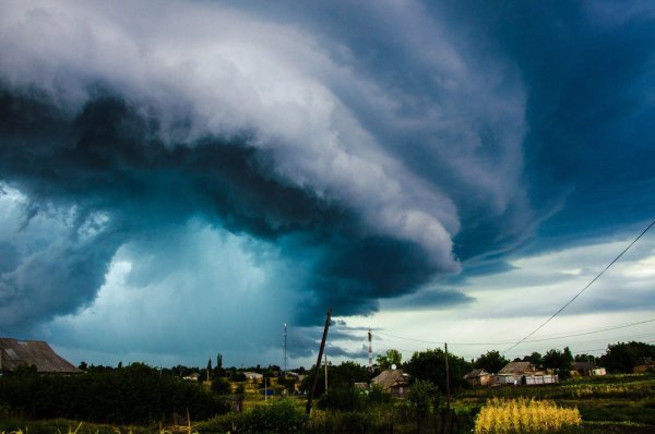 Погода на год