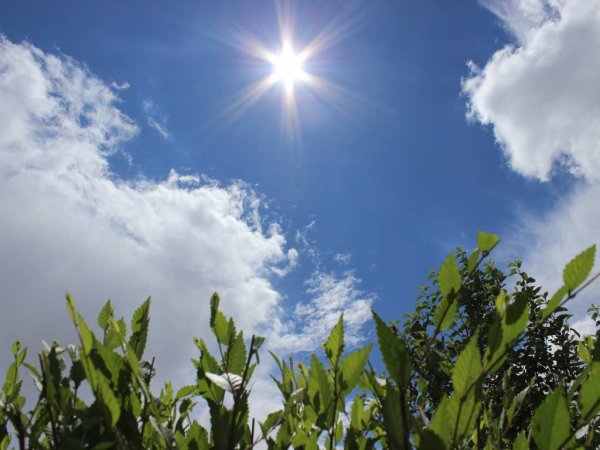 Солнечная погода