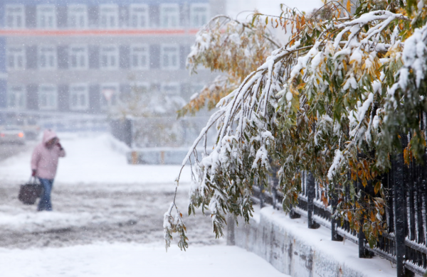 Первый снег