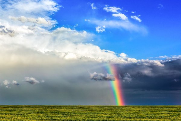 Разный климат