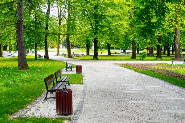 Парк Томсона Иркутск