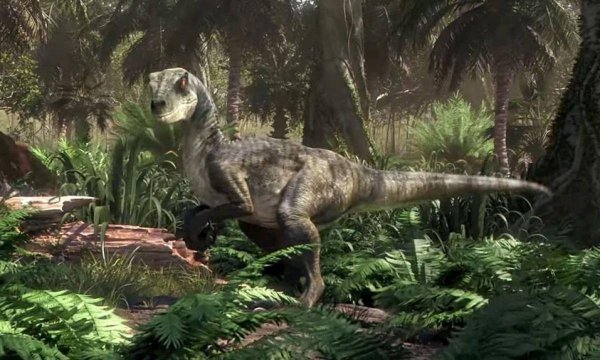 Мир Юрского периода мировой лагерь