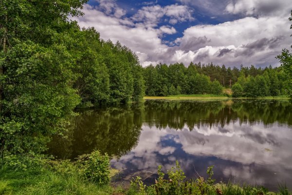 Озеро Лесное Нижний Новгород