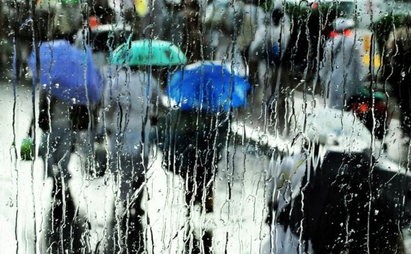 Дождь и холод