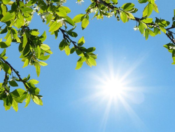 Солнечно без осадков