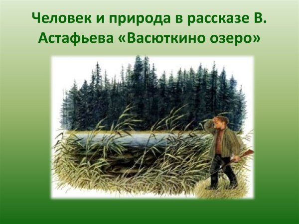 Иллюстрации к рассказу Астафьева Васюткино озеро