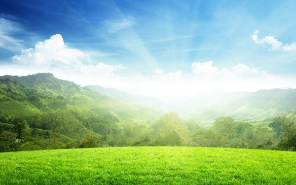 Солнечный пейзаж