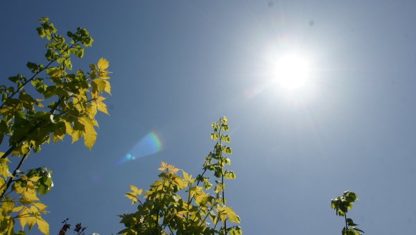 Солнце жара