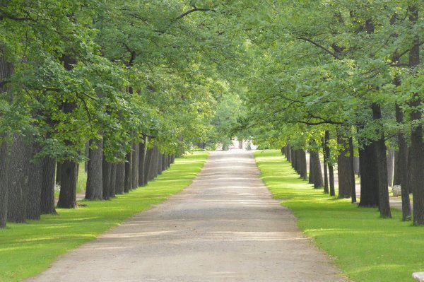 Дорожки в Екатерининском парке