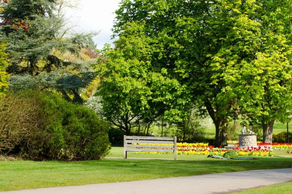 Летний парк