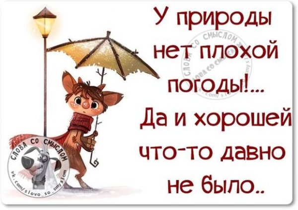 Интересные высказывания о погоде