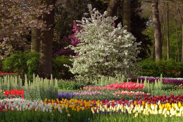 Весенний Цветущий парк