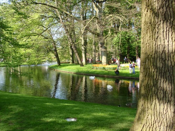 Весенний парк отдыха