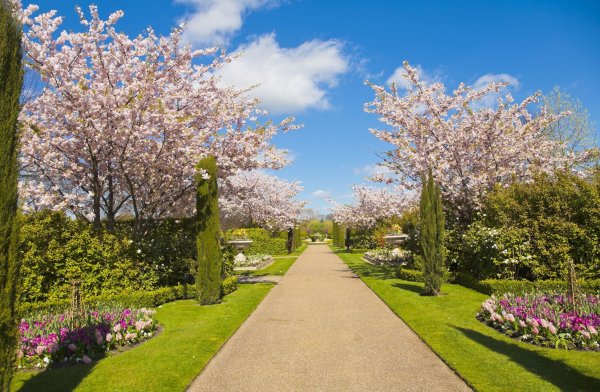 Весна цветущие сады