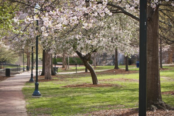 Парк апрель