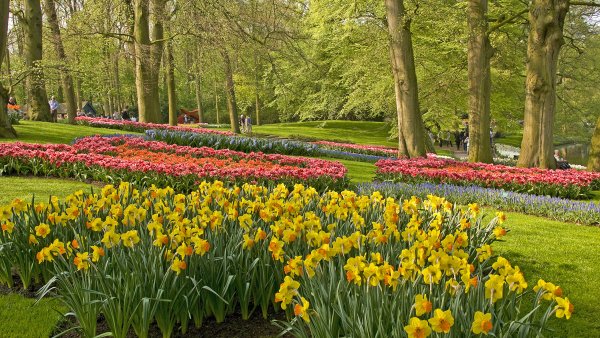 Keukenhof in lisse