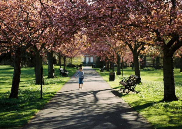 Парк аллея Весна
