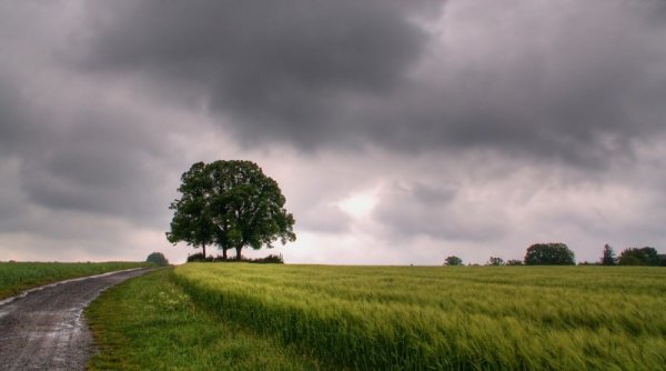 Пасмурный день