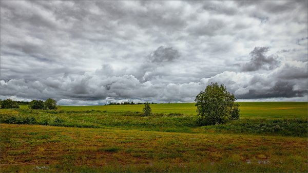 Пасмурный летний день