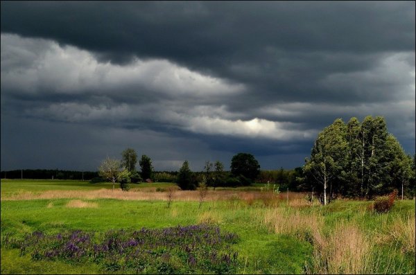 Перед грозой в деревне