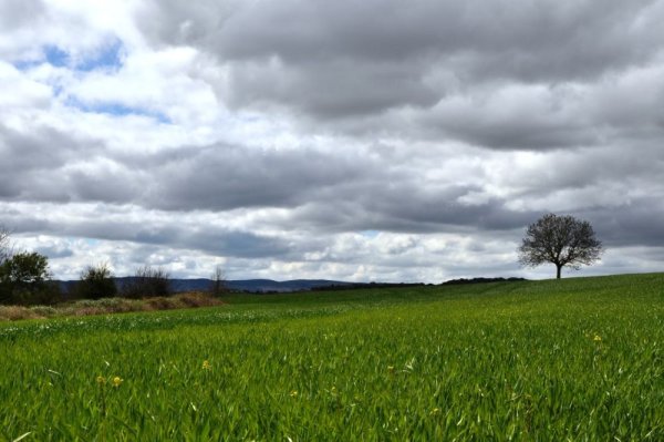 Пасмурное лето