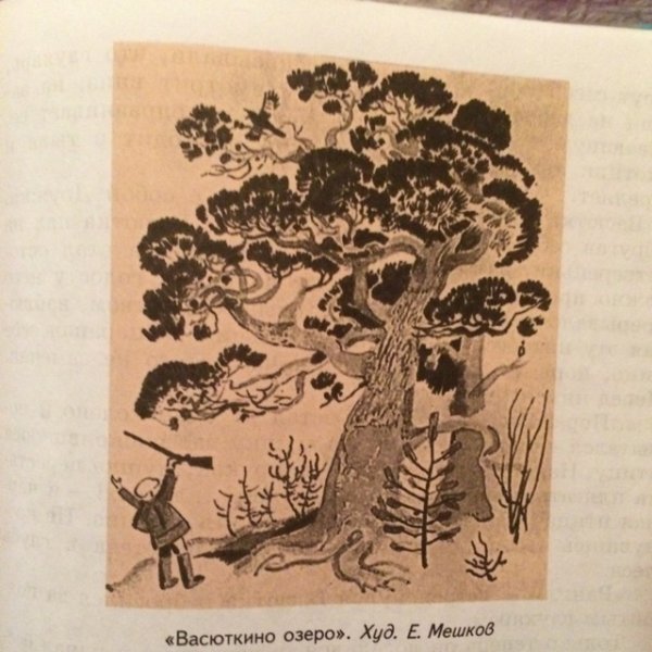 Васюткино озеро худ е мешков